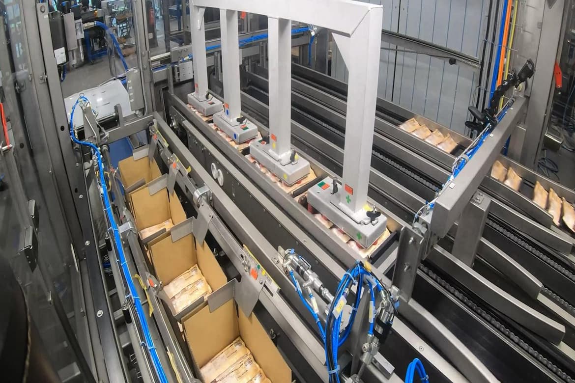 Flexible end-of-line packaging automation system with cartons and conveyors